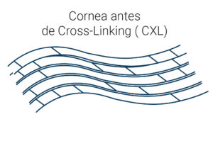 crosslink-antes-001