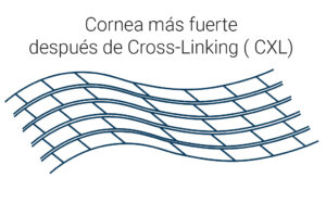 crosslink-despues-002